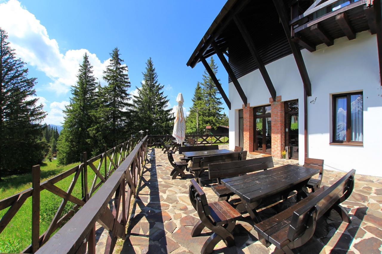 Pensiunea Rafael Paltinis Exterior photo